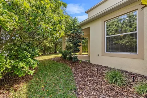 4424 Vermillion Sky Drive Wesley Chapel FL 33544
