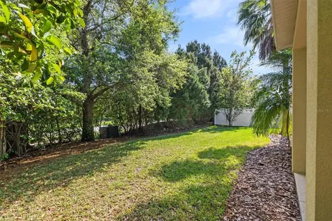 4424 Vermillion Sky Drive Wesley Chapel FL 33544