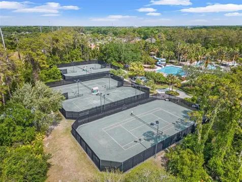 4424 Vermillion Sky Drive Wesley Chapel FL 33544