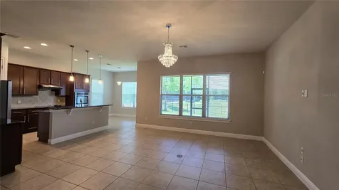 17514 Black Rail Street Windermere FL 34786