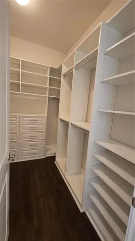 17514 Black Rail Street Windermere FL 34786