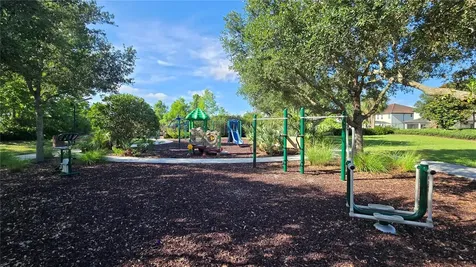 17514 Black Rail Street Windermere FL 34786