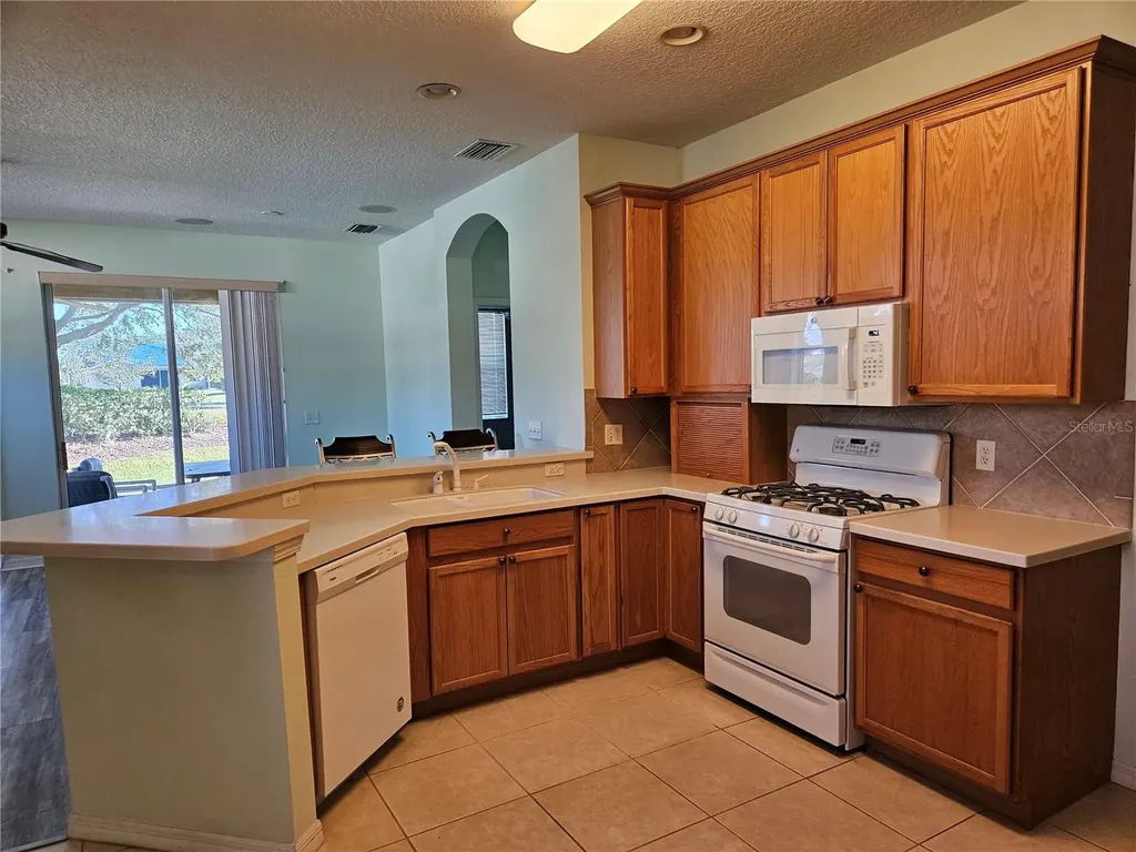 1161 Jameson Greens Drive Sun City Center FL 33573