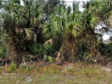 Julia Terrace North Port FL 34286