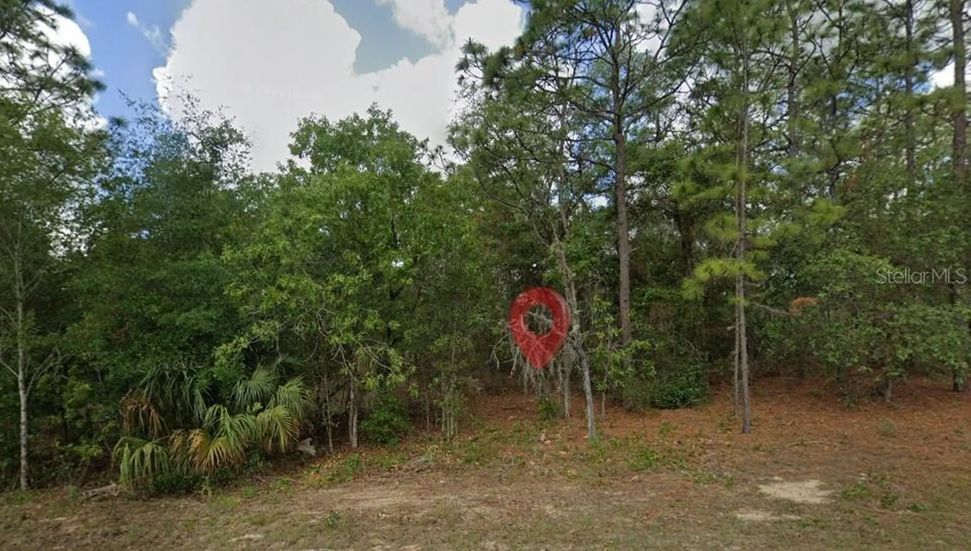 796 N Kensington Avenue Lecanto FL 34461