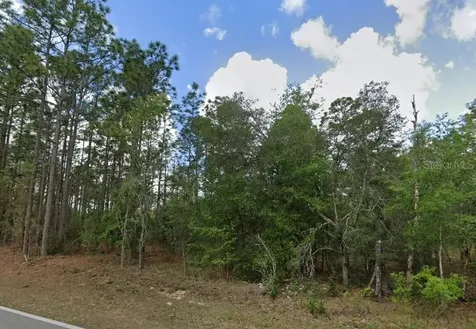 796 N Kensington Avenue Lecanto FL 34461