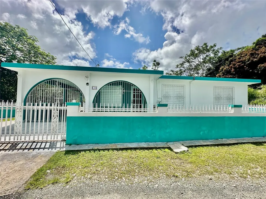 Bo Tejas - Tomas Berriios Bo Tejas Sector Tomas Berrios Road 9921 Las Piedras PR 00771