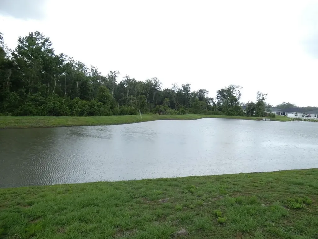 35542 Bellington Boulevard Zephyrhills FL 33541