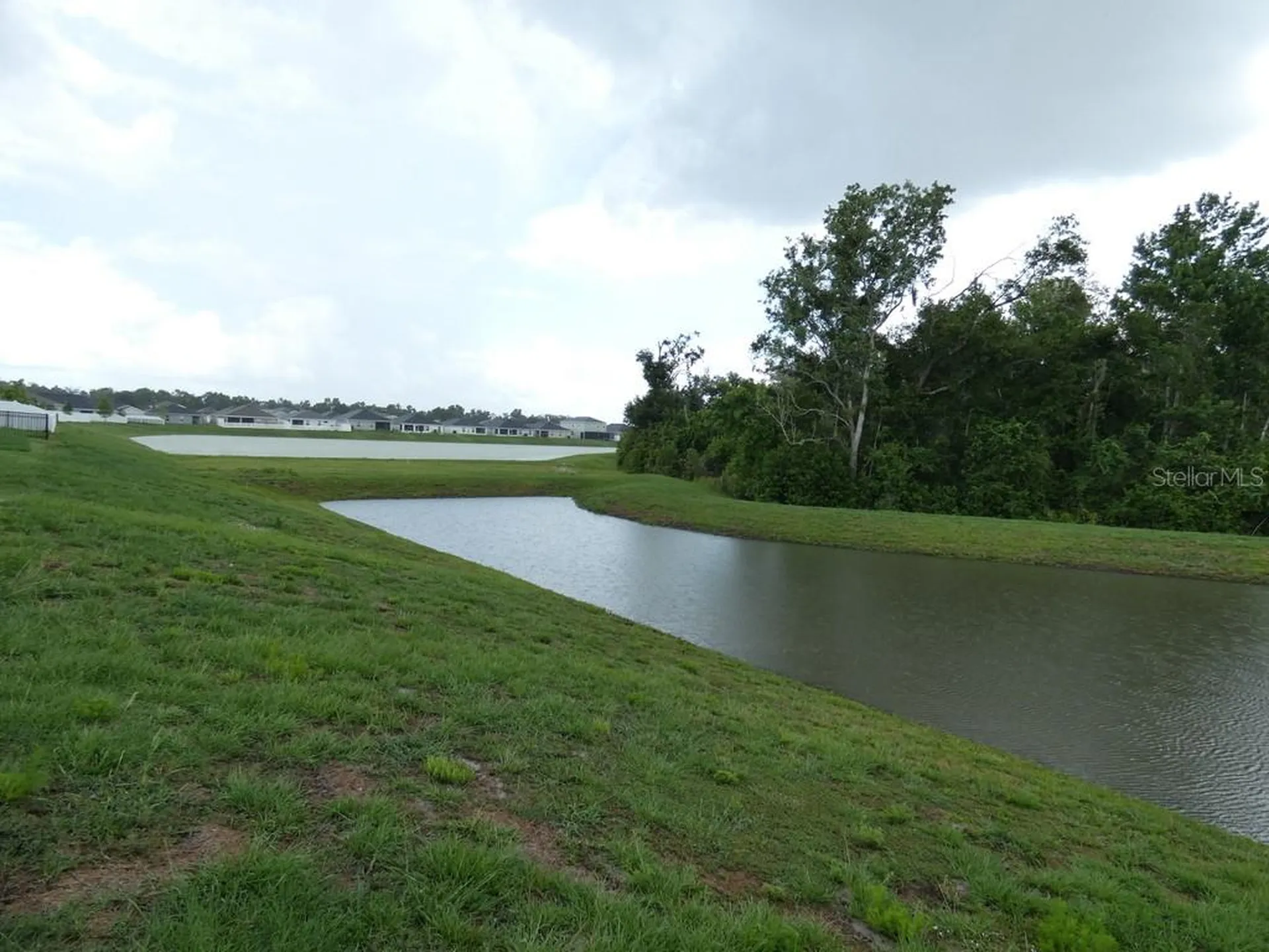 35542 Bellington Boulevard Zephyrhills FL 33541
