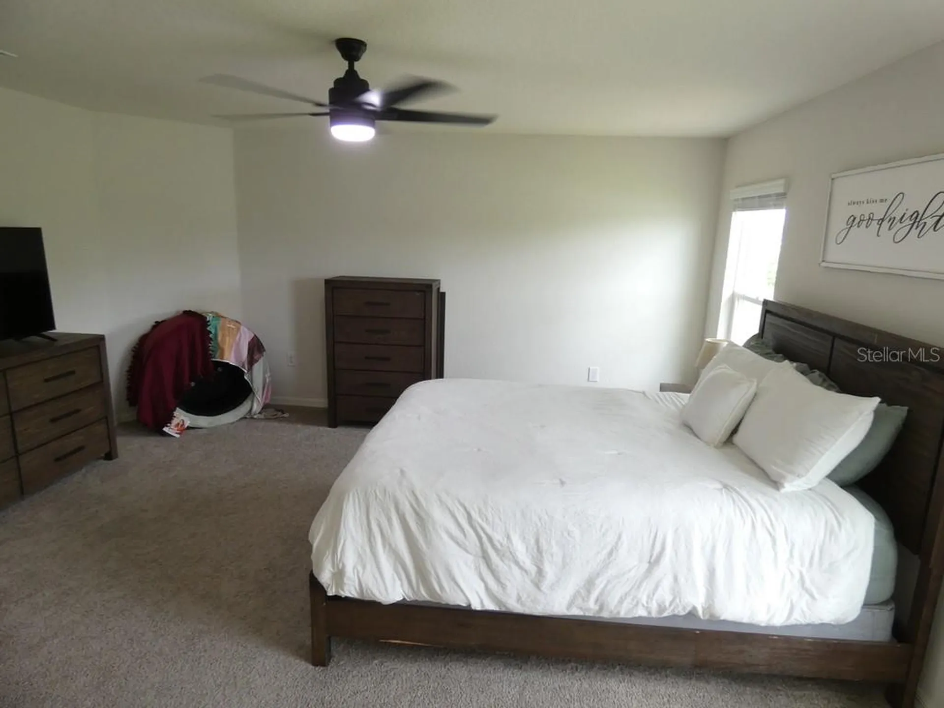35542 Bellington Boulevard Zephyrhills FL 33541