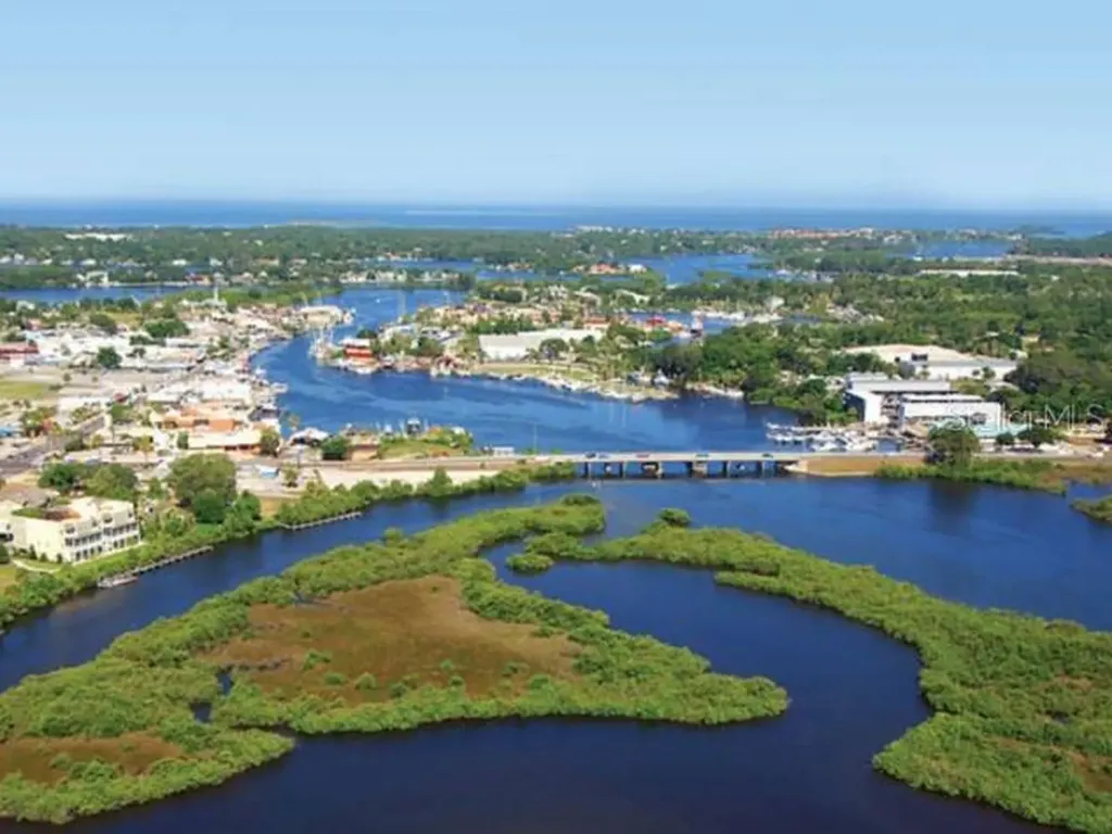 1250 S Pinellas Avenue Tarpon Springs FL 34689
