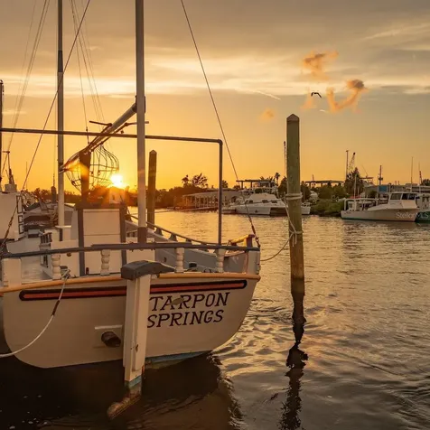 1250 S Pinellas Avenue Tarpon Springs FL 34689
