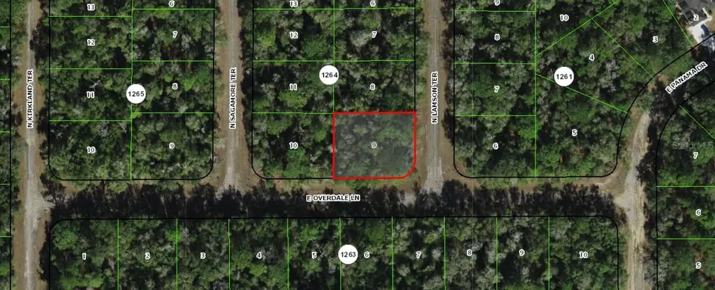 9300 N Lampson Terrace Citrus Springs FL 34434