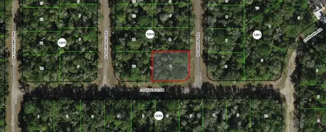 9300 N Lampson Terrace Citrus Springs FL 34434