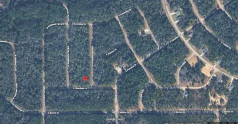 9300 N Lampson Terrace Citrus Springs FL 34434