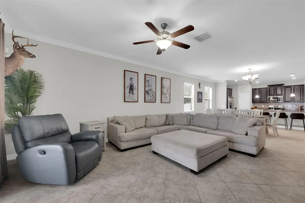 3116 Calvano Drive Land O Lakes FL 34639
