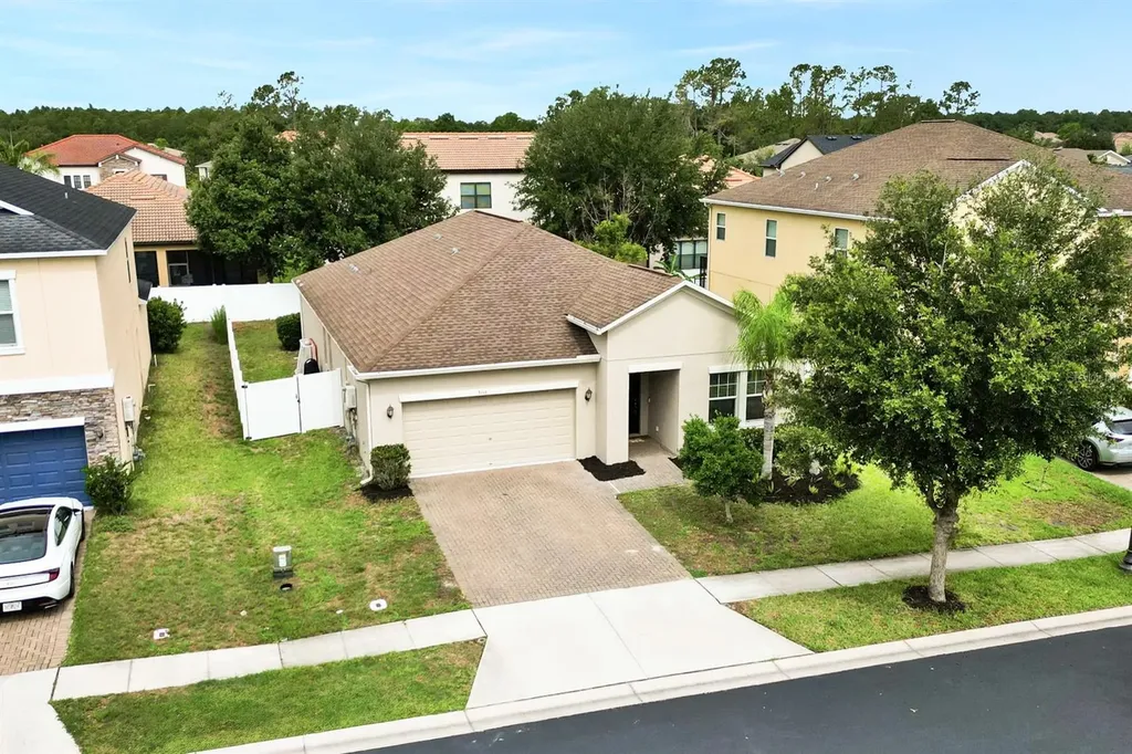 3116 Calvano Drive Land O Lakes FL 34639