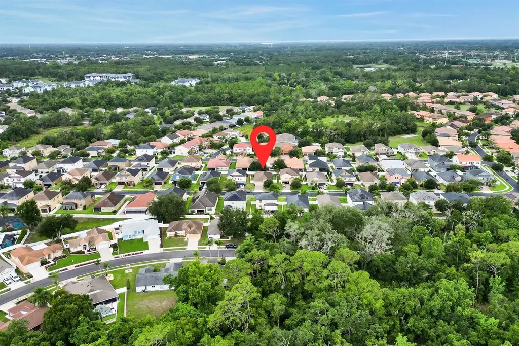 3116 Calvano Drive Land O Lakes FL 34639