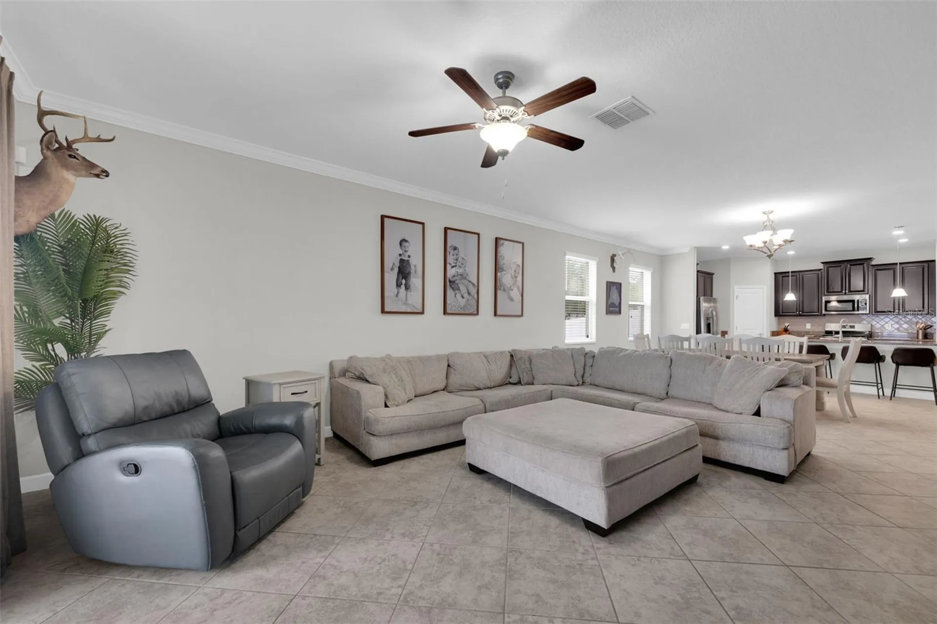 3116 Calvano Drive Land O Lakes FL 34639