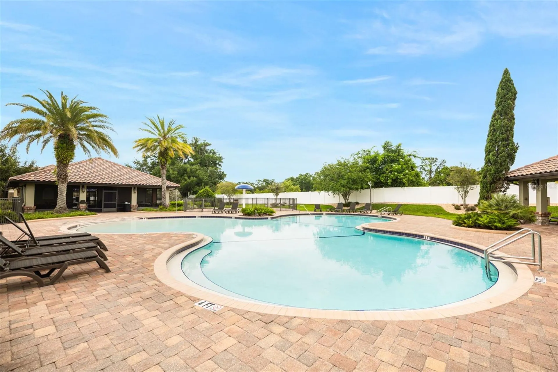 3116 Calvano Drive Land O Lakes FL 34639