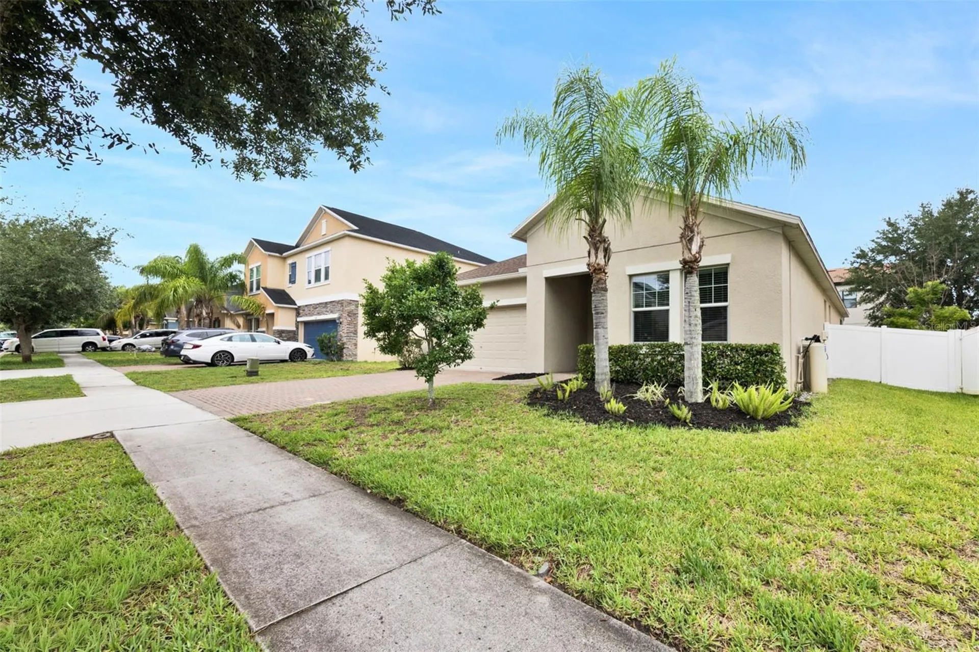 3116 Calvano Drive Land O Lakes FL 34639