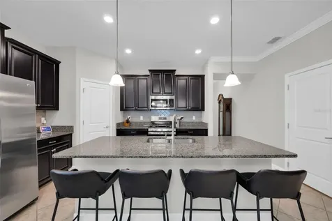 3116 Calvano Drive Land O Lakes FL 34639