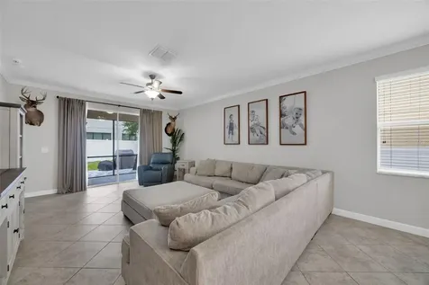 3116 Calvano Drive Land O Lakes FL 34639