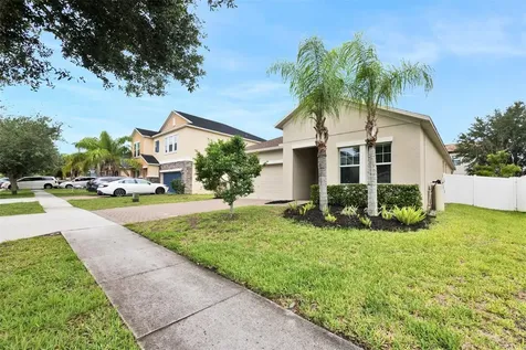 3116 Calvano Drive Land O Lakes FL 34639