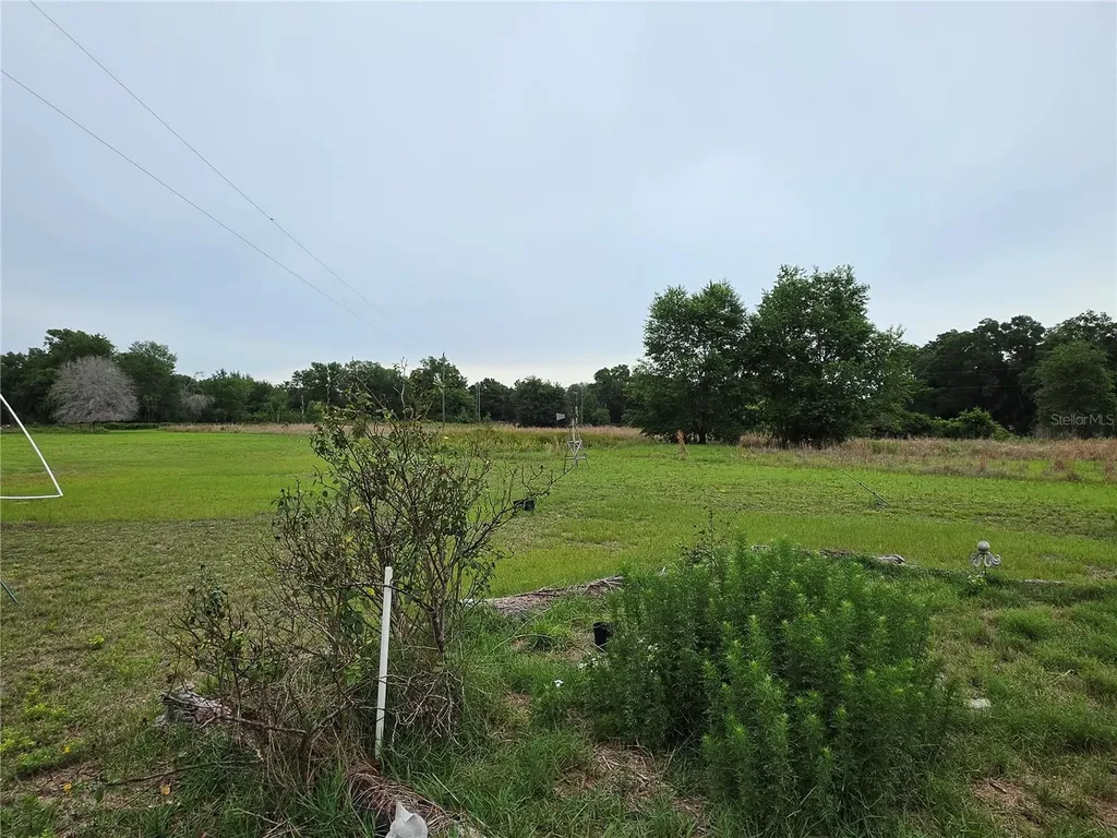2510 NE 165th Street Citra FL 32113
