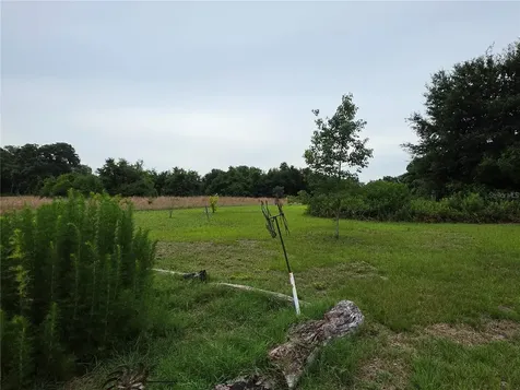 2510 NE 165th Street Citra FL 32113