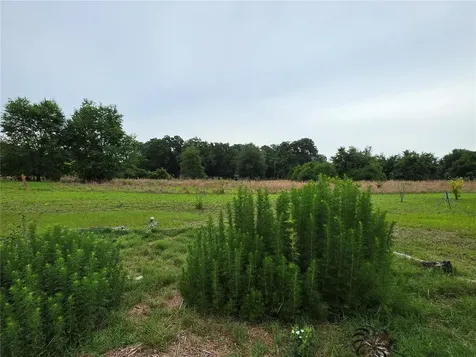 2510 NE 165th Street Citra FL 32113