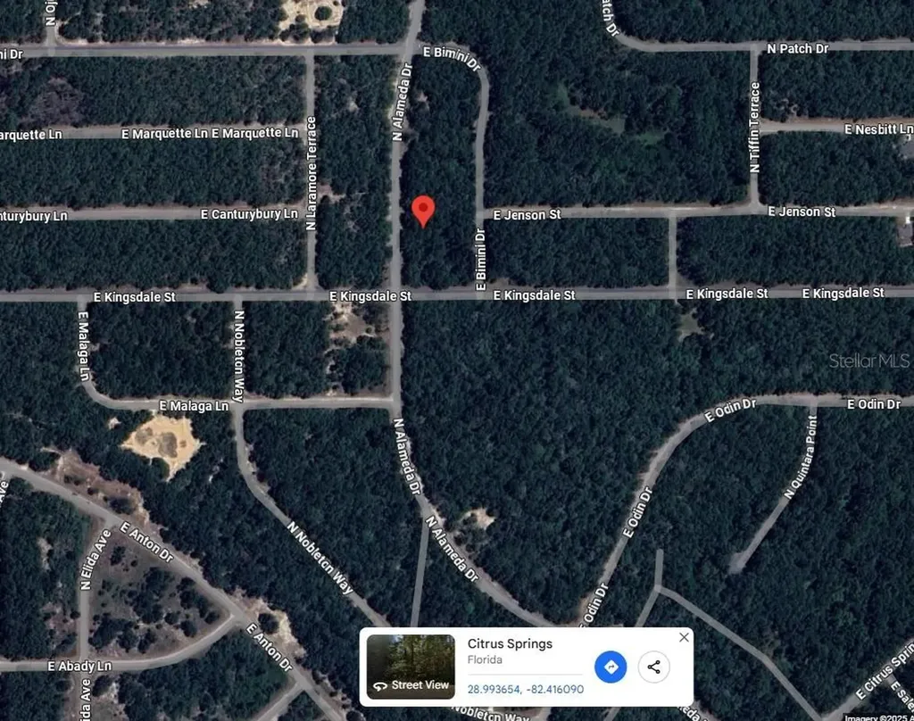 9085 N Alameda Drive Citrus Springs FL 34434