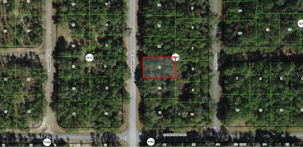 9085 N Alameda Drive Citrus Springs FL 34434
