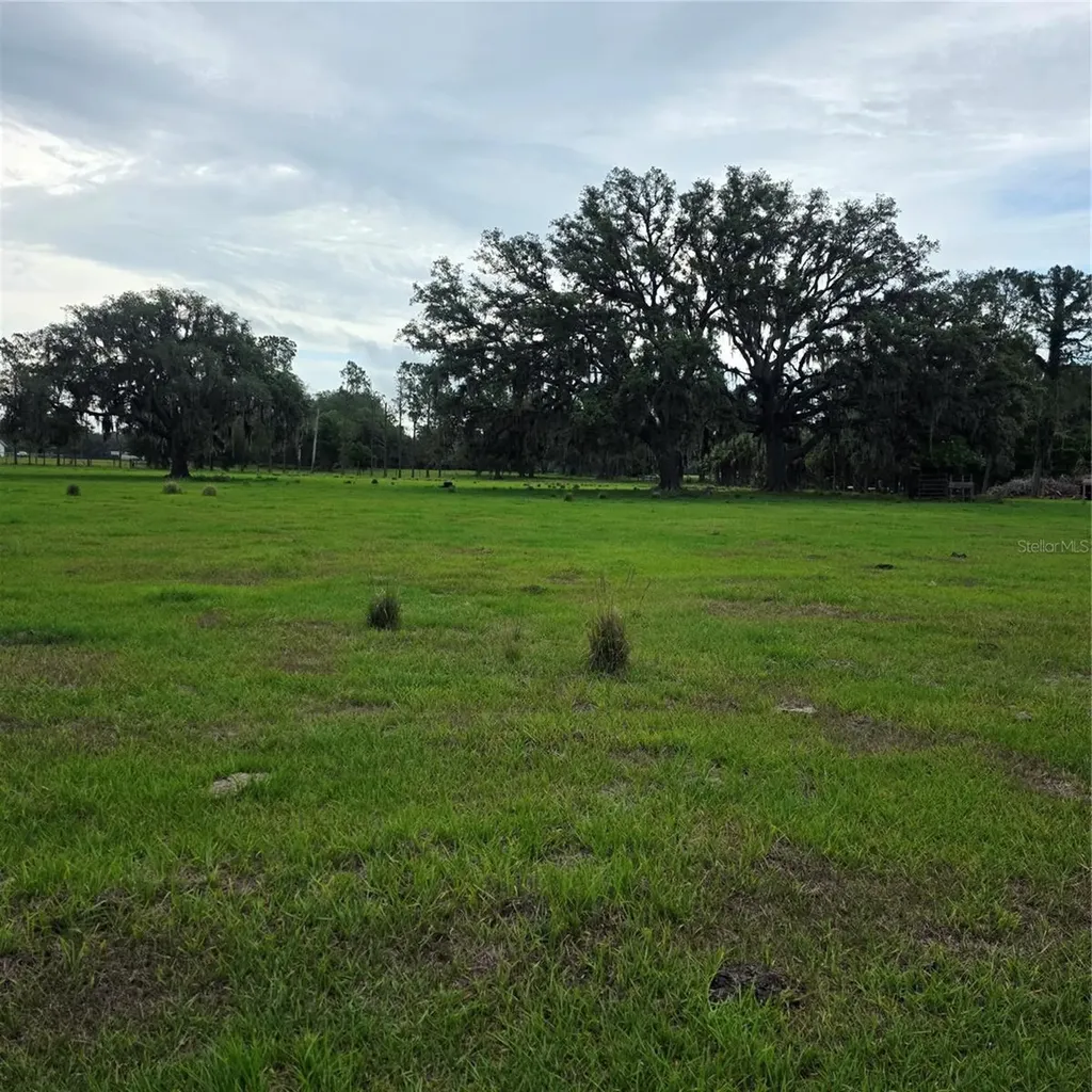 Vernon Dairy Spring Hill FL 34610