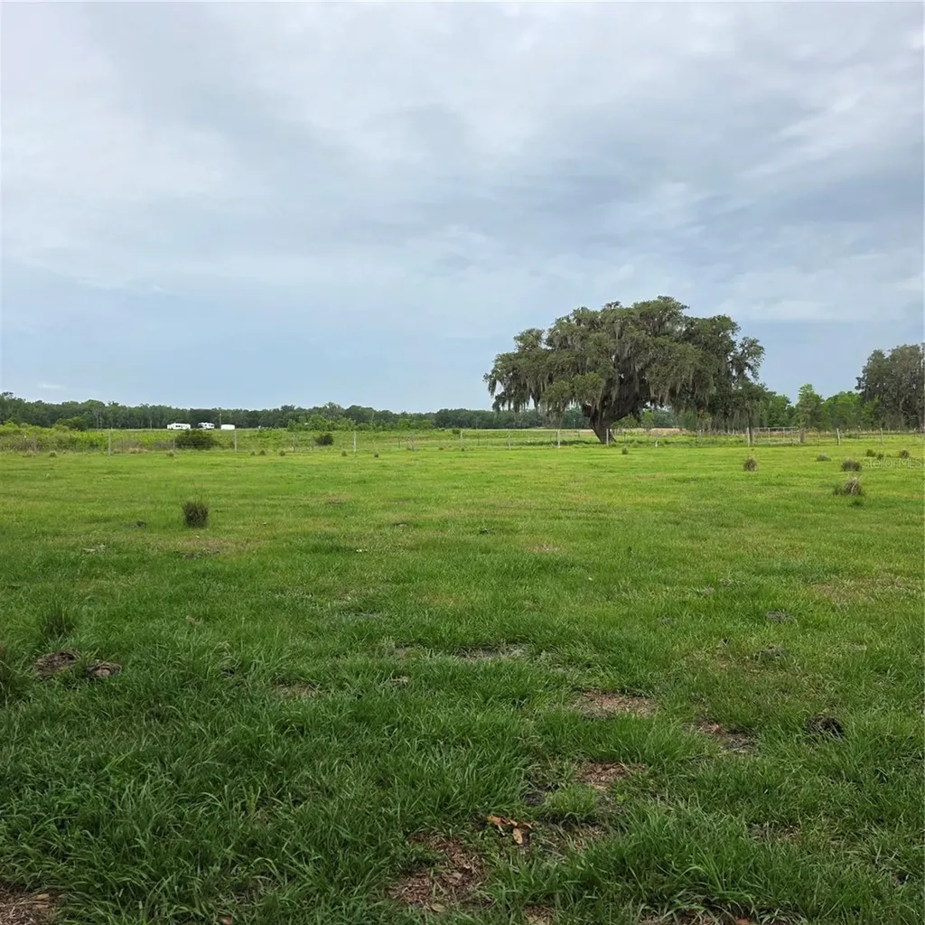 Vernon Dairy Spring Hill FL 34610