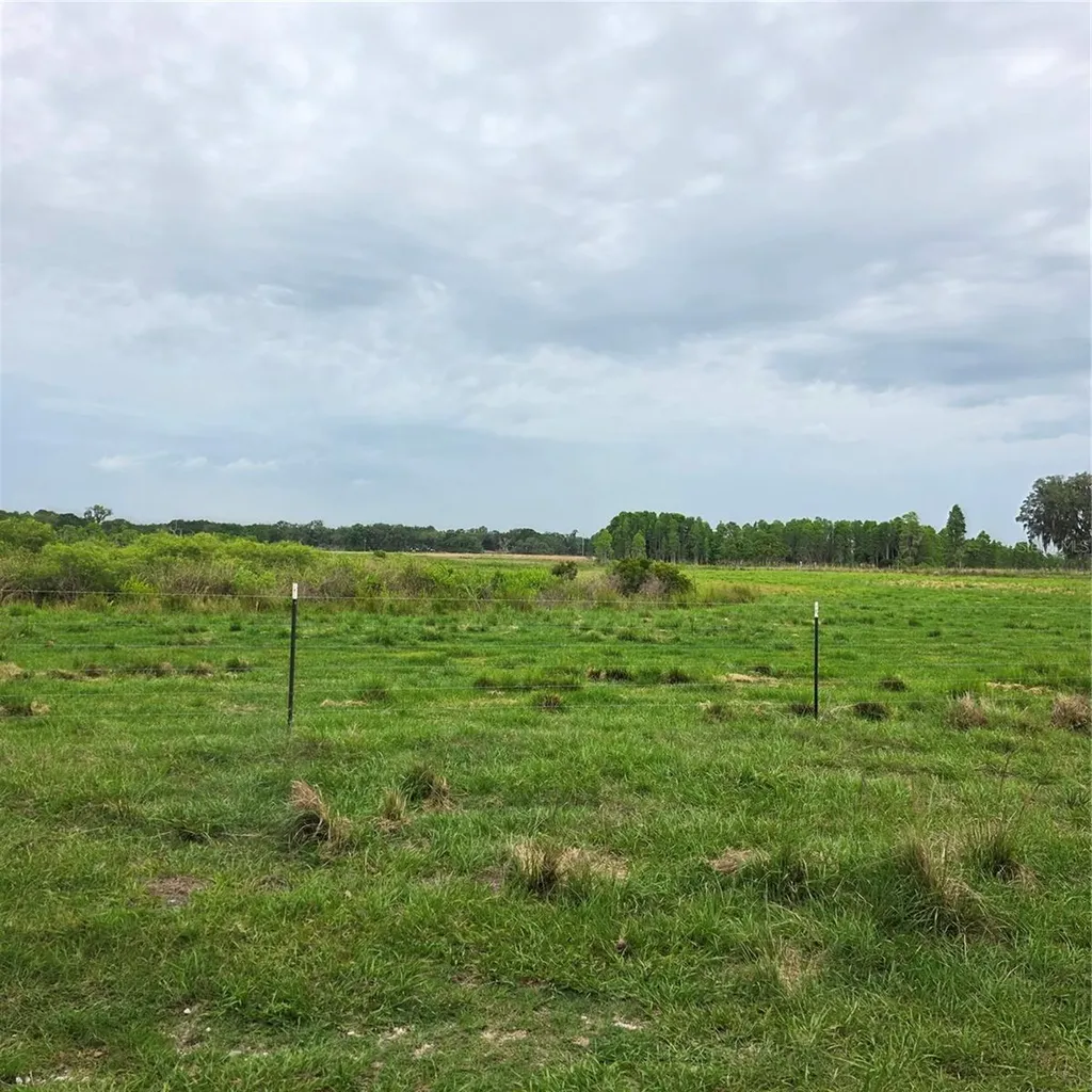 Vernon Dairy Spring Hill FL 34610