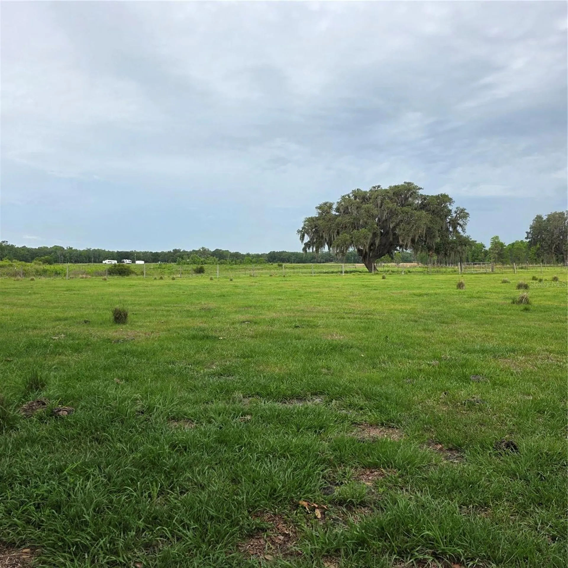 Vernon Dairy Spring Hill FL 34610