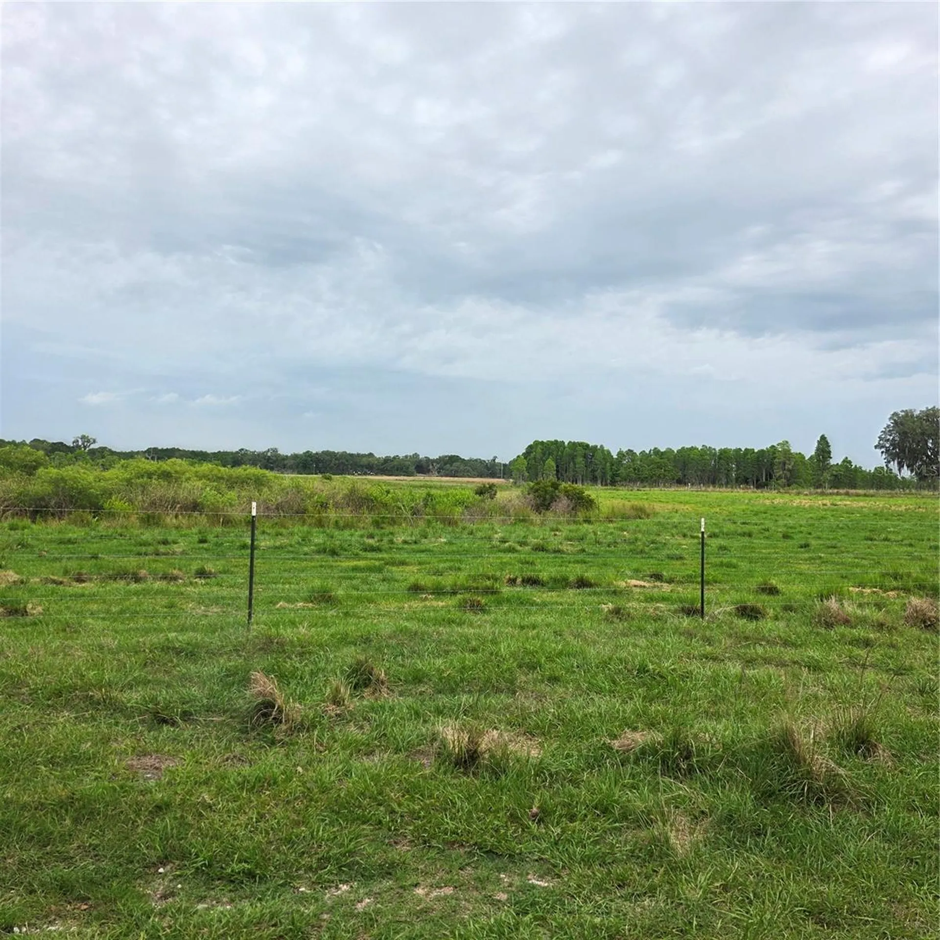 Vernon Dairy Spring Hill FL 34610
