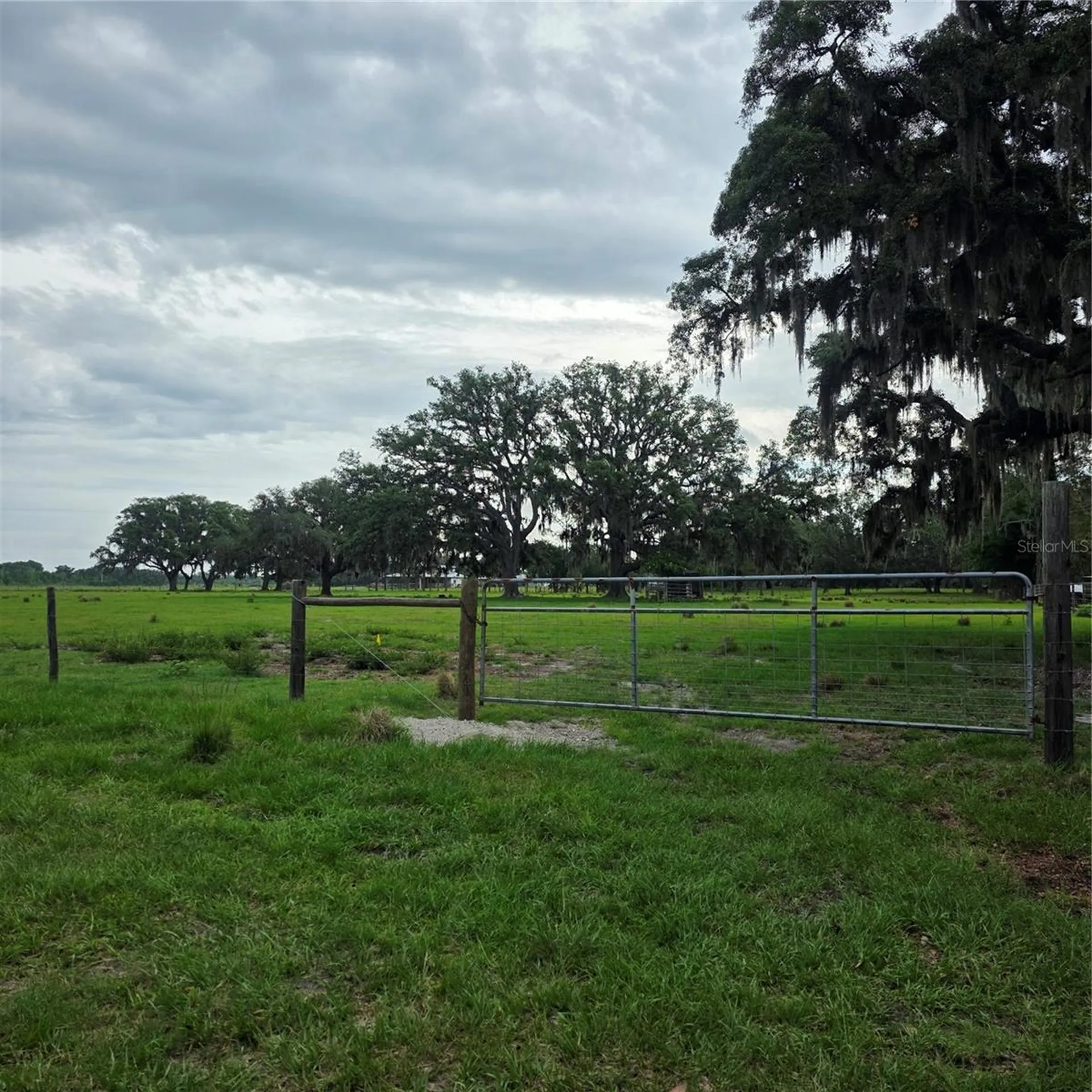 Vernon Dairy Spring Hill FL 34610