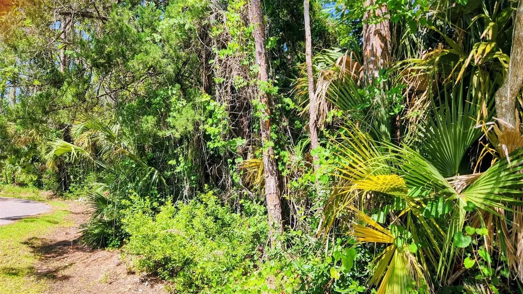 6 Rybar Place Palm Coast FL 32164