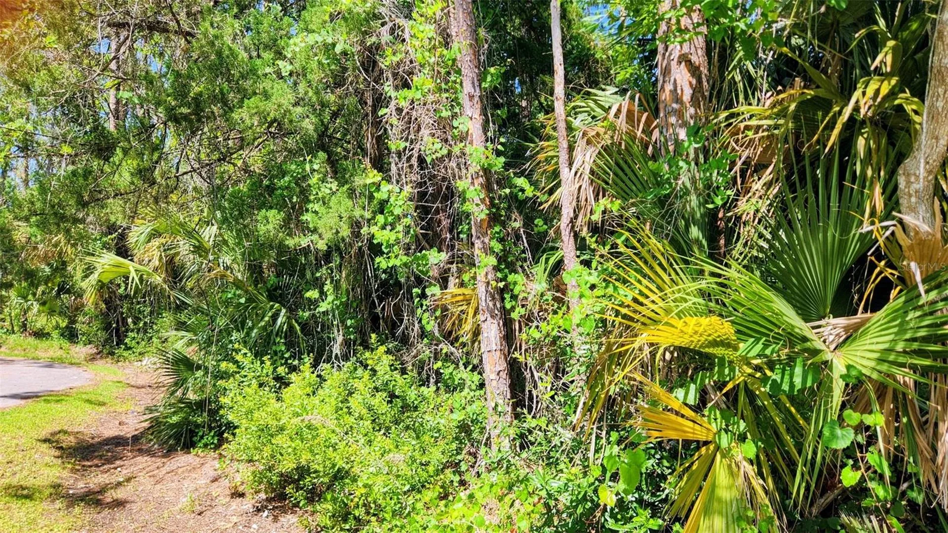 6 Rybar Place Palm Coast FL 32164