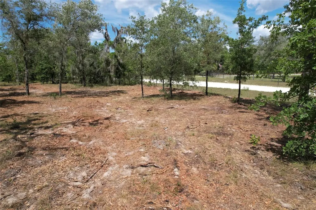 SE 53rd Lane Morriston FL 32668