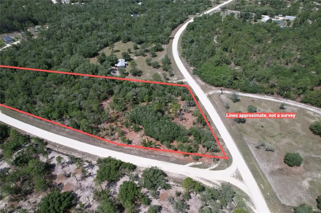 SE 53rd Lane Morriston FL 32668