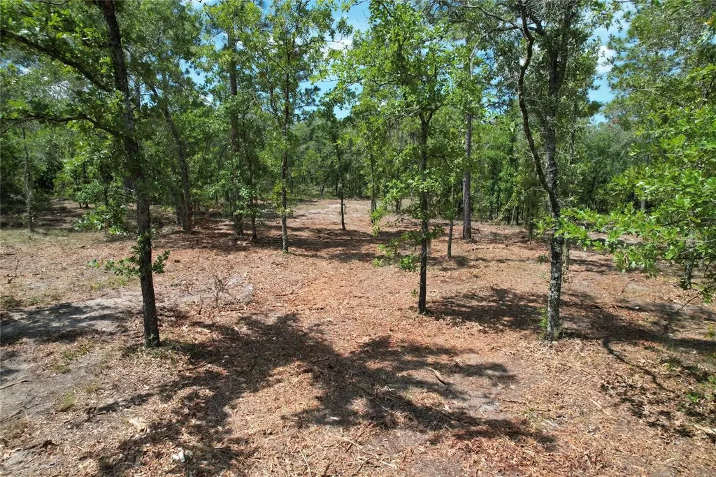 SE 53rd Lane Morriston FL 32668