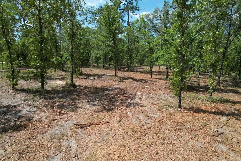 SE 53rd Lane Morriston FL 32668