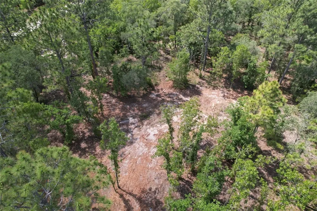 SE 53rd Lane Morriston FL 32668