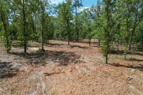 SE 53rd Lane Morriston FL 32668