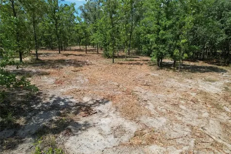 SE 53rd Lane Morriston FL 32668