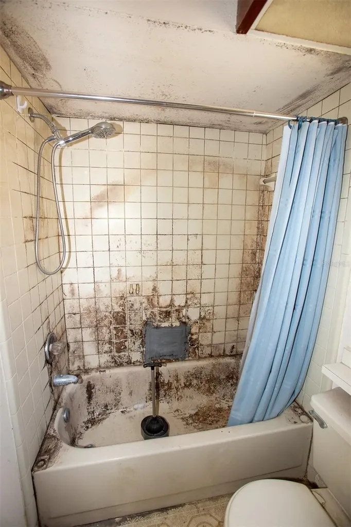 1363 Corner Oaks Drive Brandon FL 33510