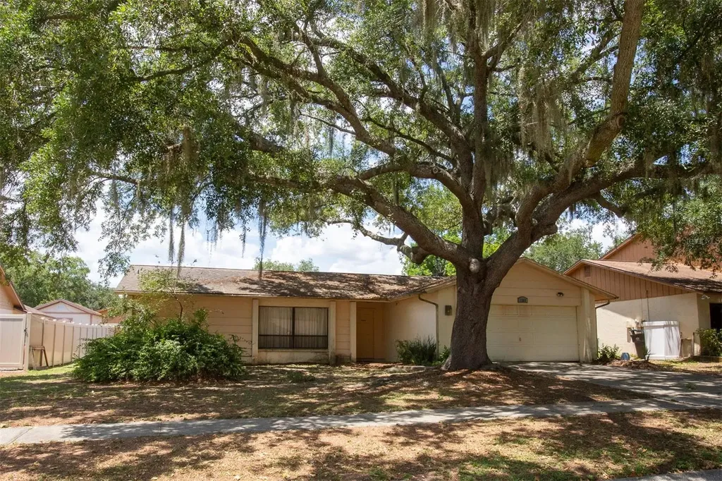 1363 Corner Oaks Drive Brandon FL 33510